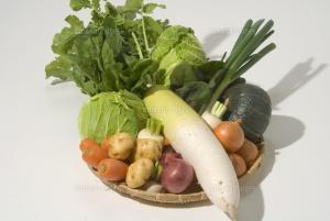 冬野菜で健康効果のある食品は？
