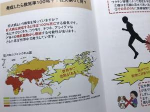 狂犬病は、日本などの一部の国・地域を除いて世界中で発生しています。