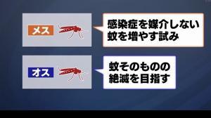日本の最先端の研究では、蚊の遺伝子や生態系を利用した感染症の撲滅に取り組んでいます。